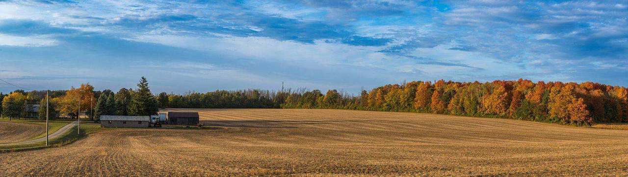 Wide farm panorama with barn and autumn treeline