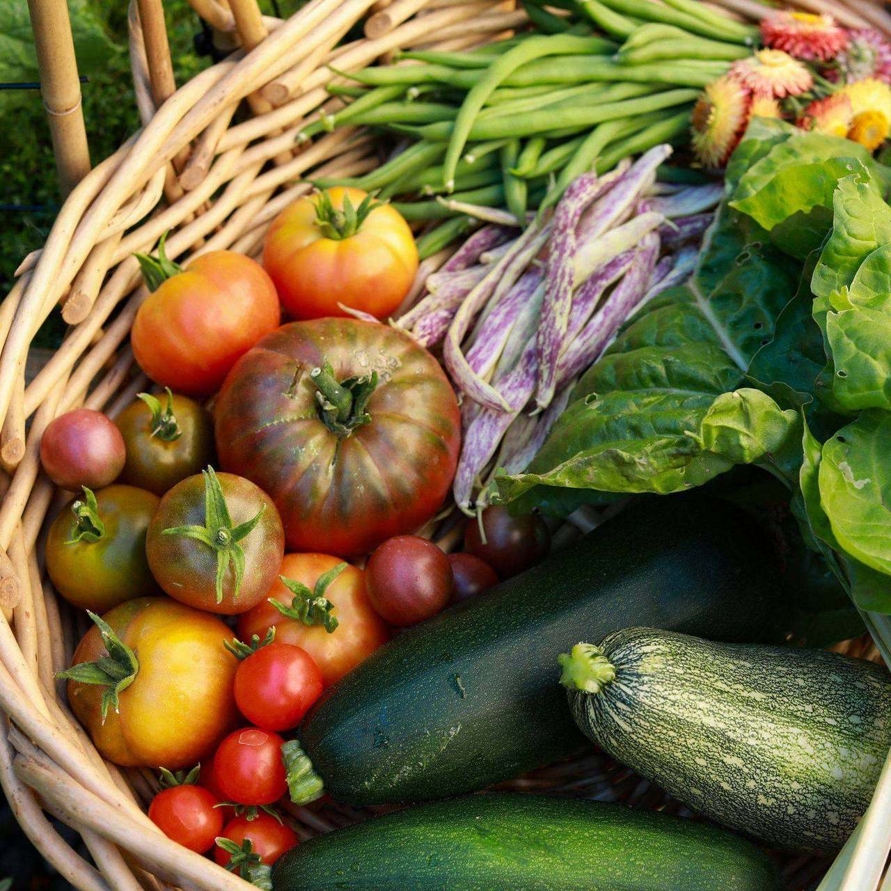 Woven basket overflowing with heirloom tomatoes and vegetables