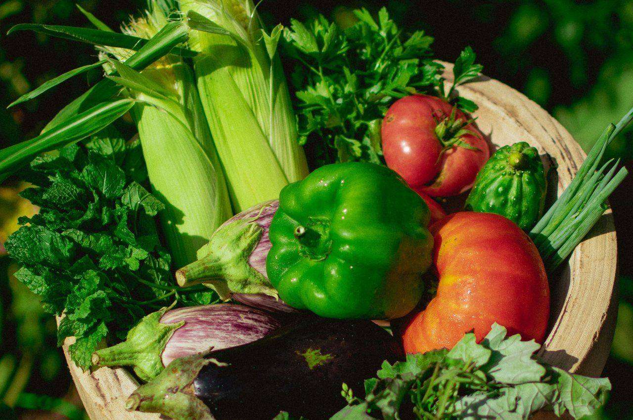 Hand holding a wooden bowl of garden vegetables