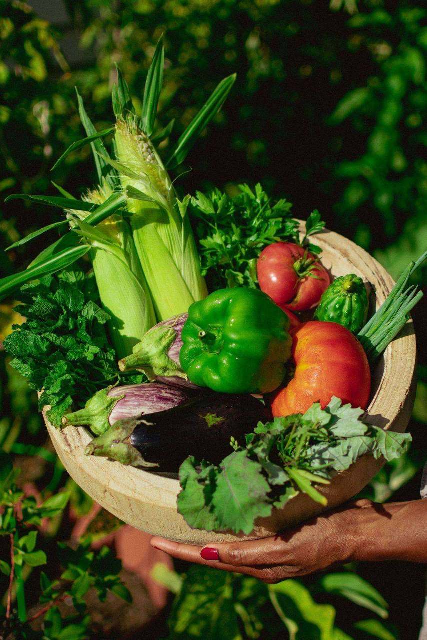 Hand holding wooden bowl of garden vegetables
