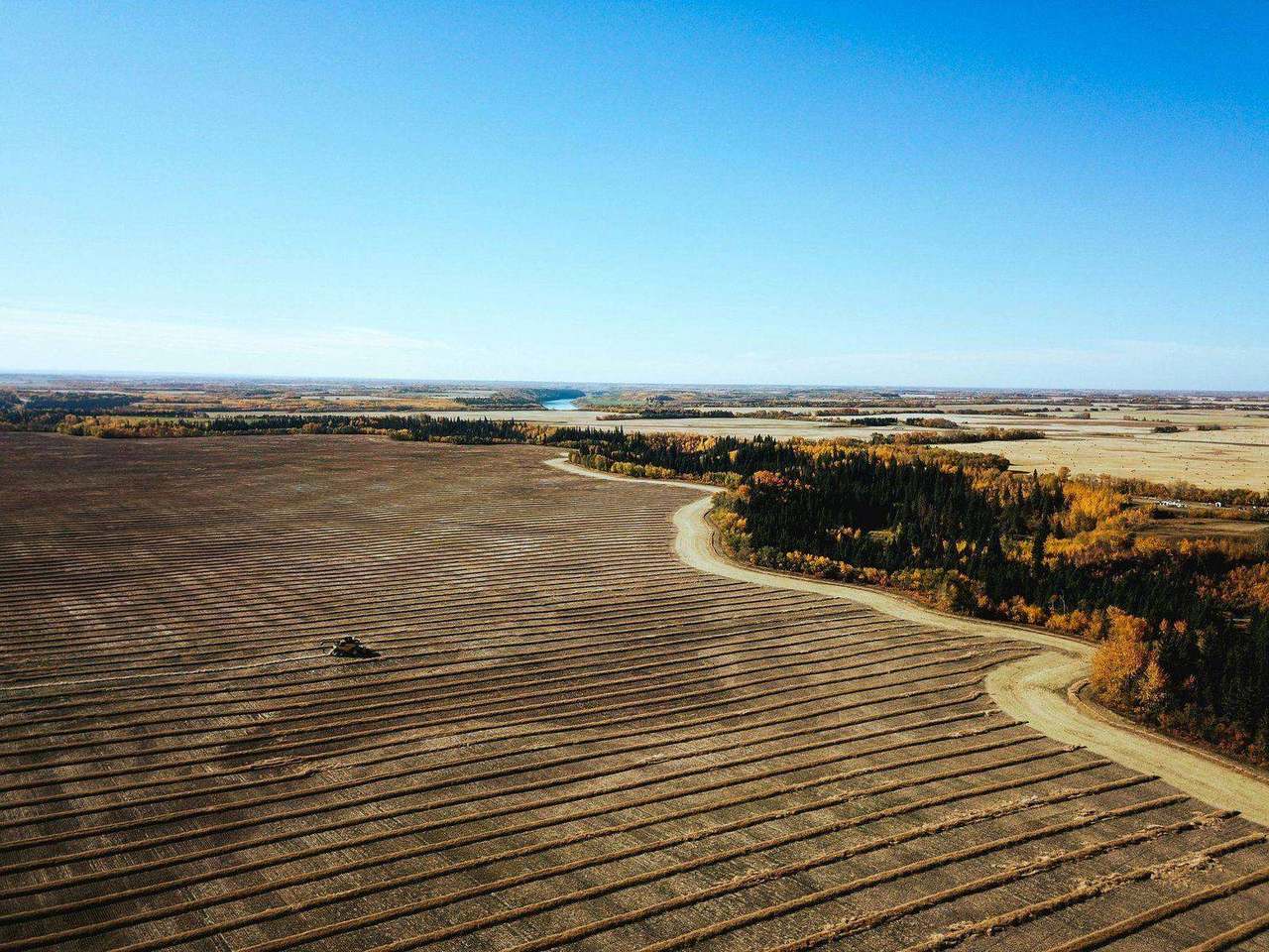 Aerial harvested field with lake and autumn trees