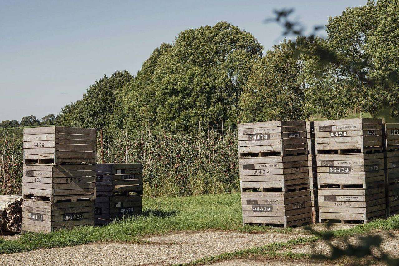 Wooden crates stacked in an apple orchard