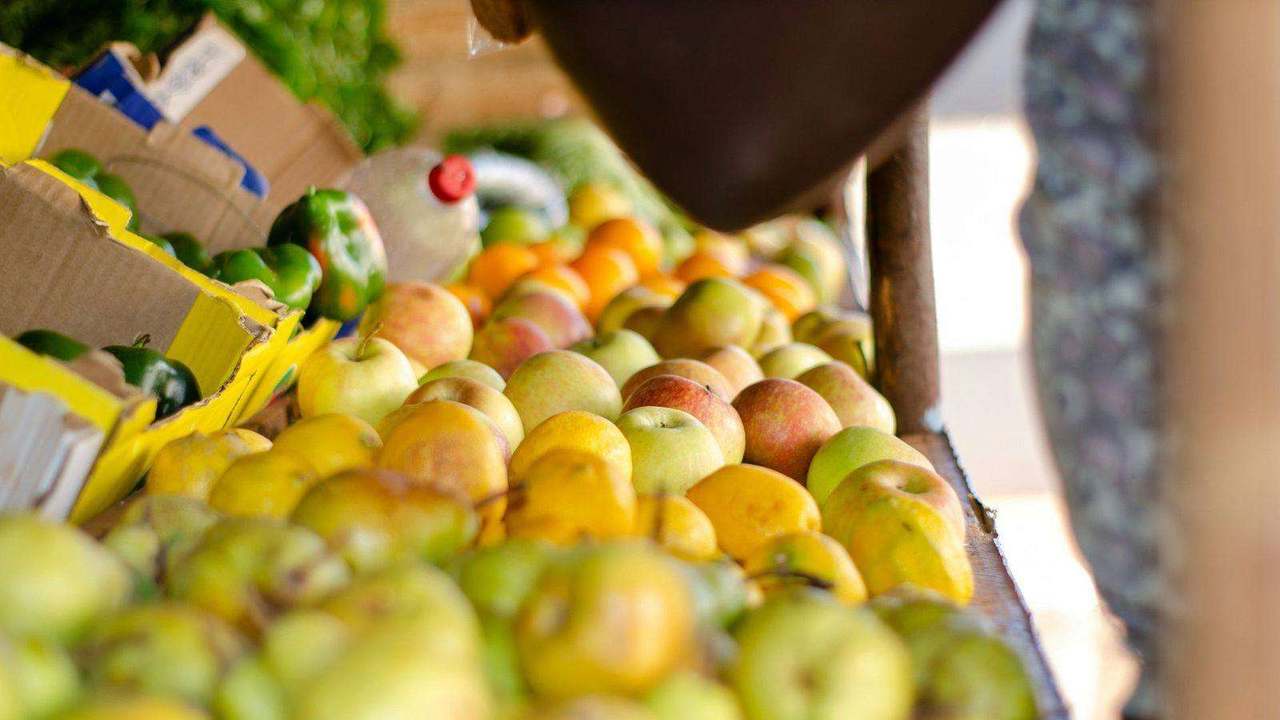 Close-up of apples and citrus on display