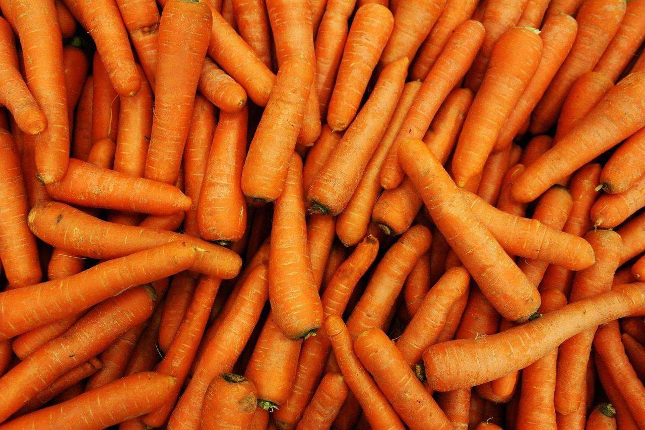 Overhead pile of freshly harvested carrots