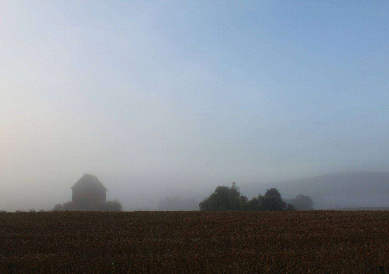 Barn silhouette in heavy fog beside wheat field