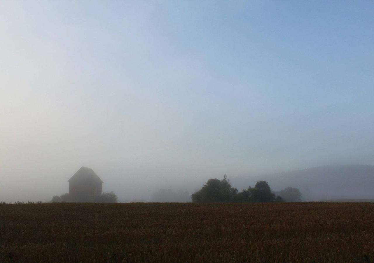 Barn silhouette in heavy fog beside wheat field