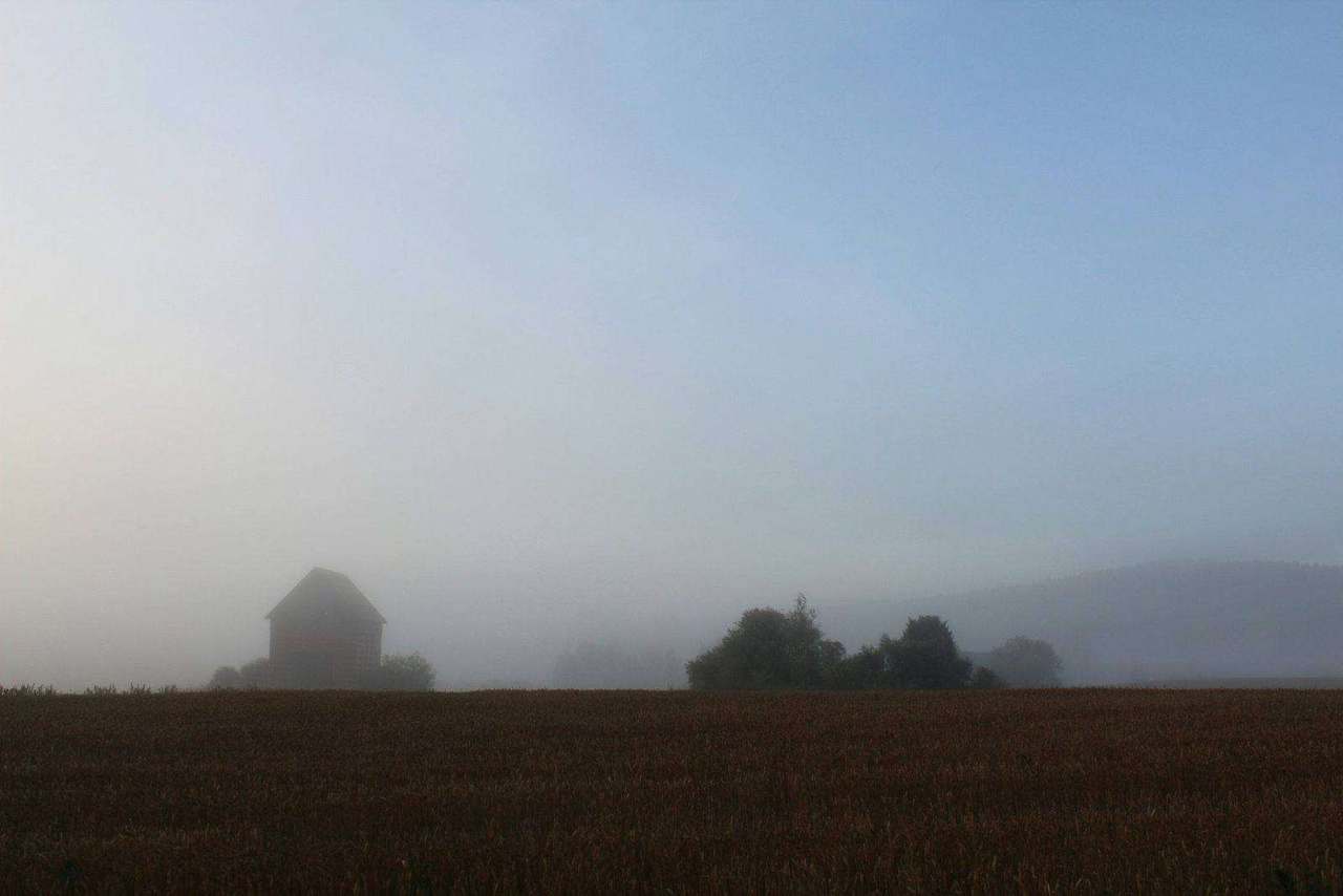 Barn silhouette in heavy fog beside wheat field