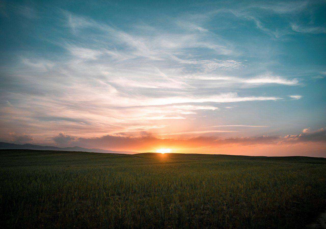 Dark green field under teal and orange sunset sky