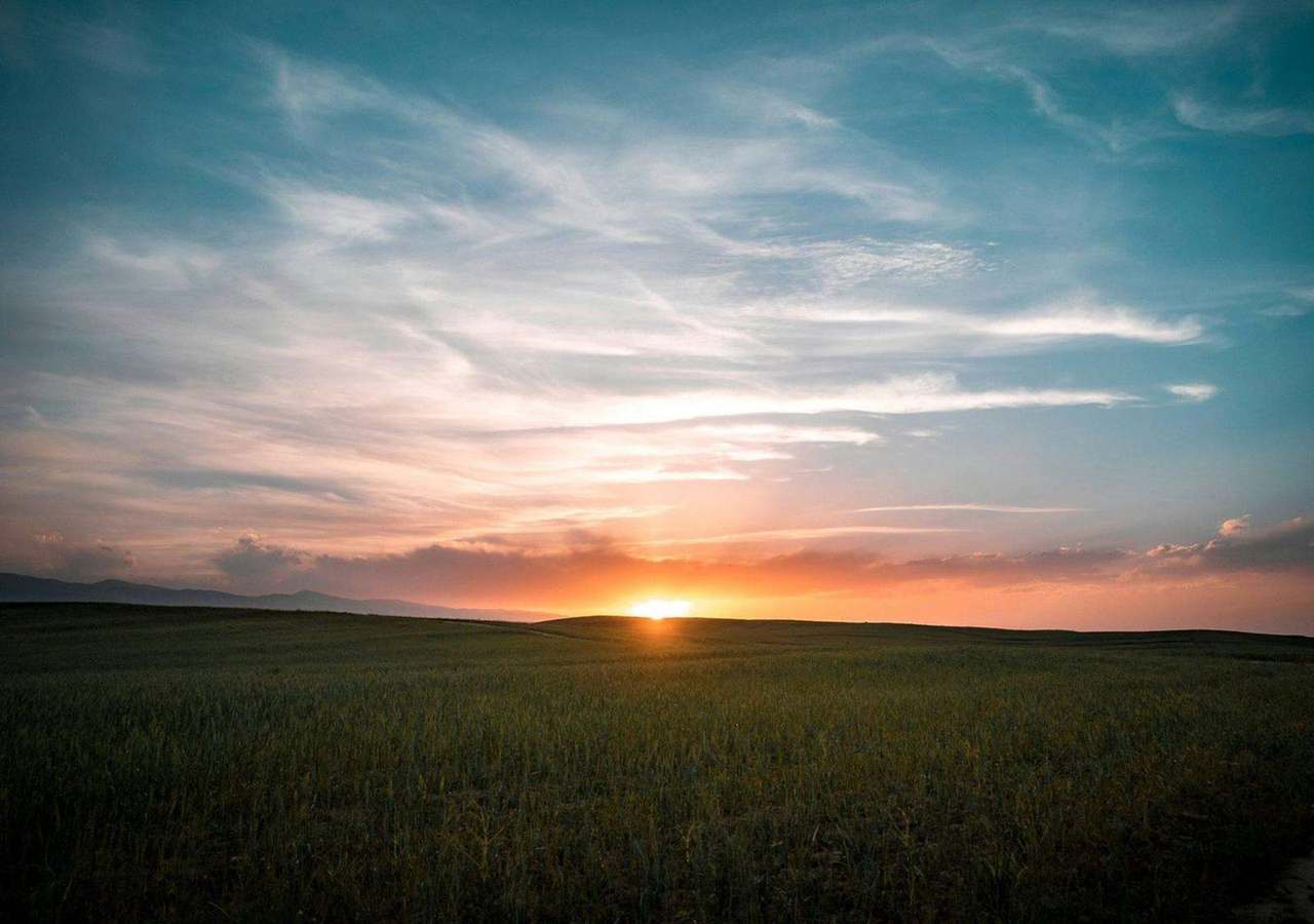Dark green field under teal and orange sunset sky
