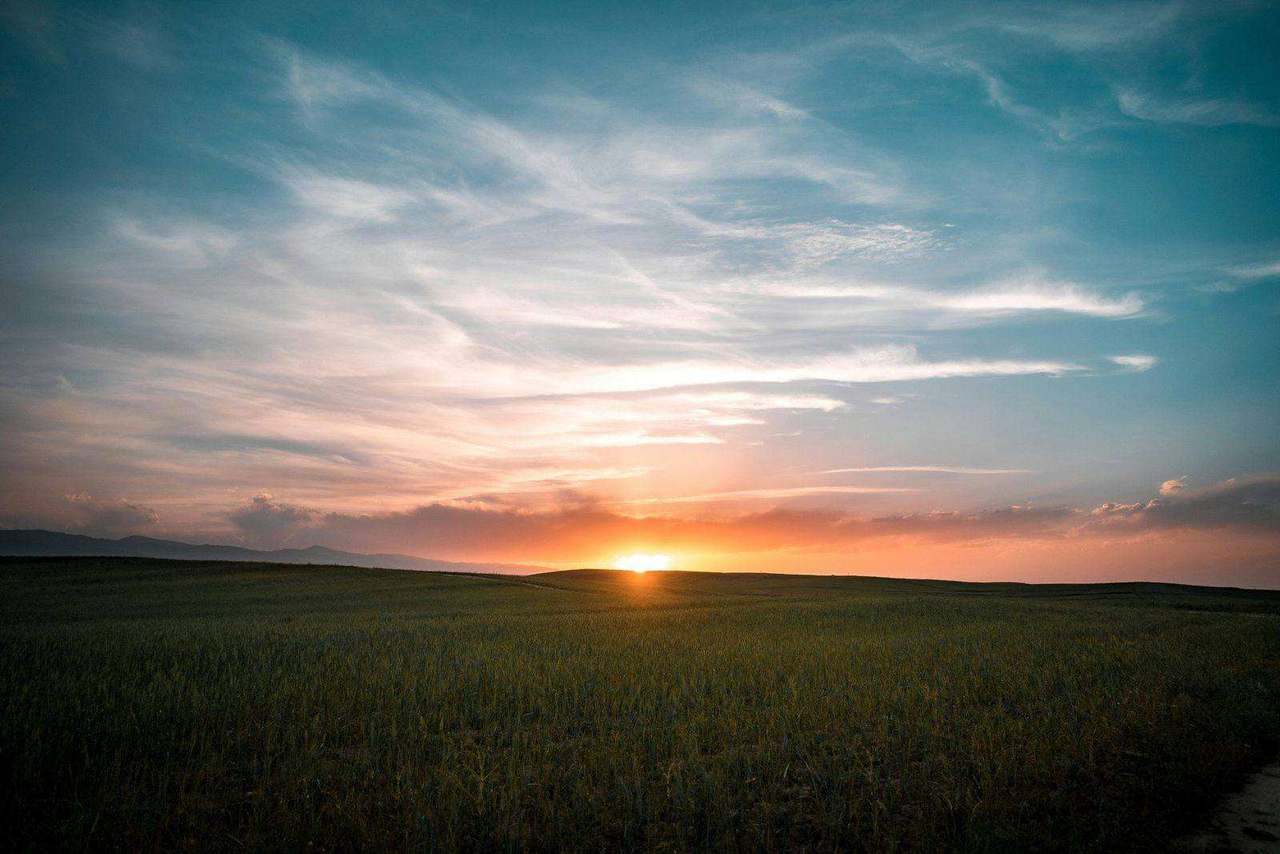 Dark green field under teal and orange sunset sky