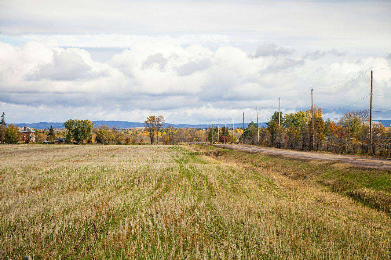Harvested hay field beside rural road under overcast sky