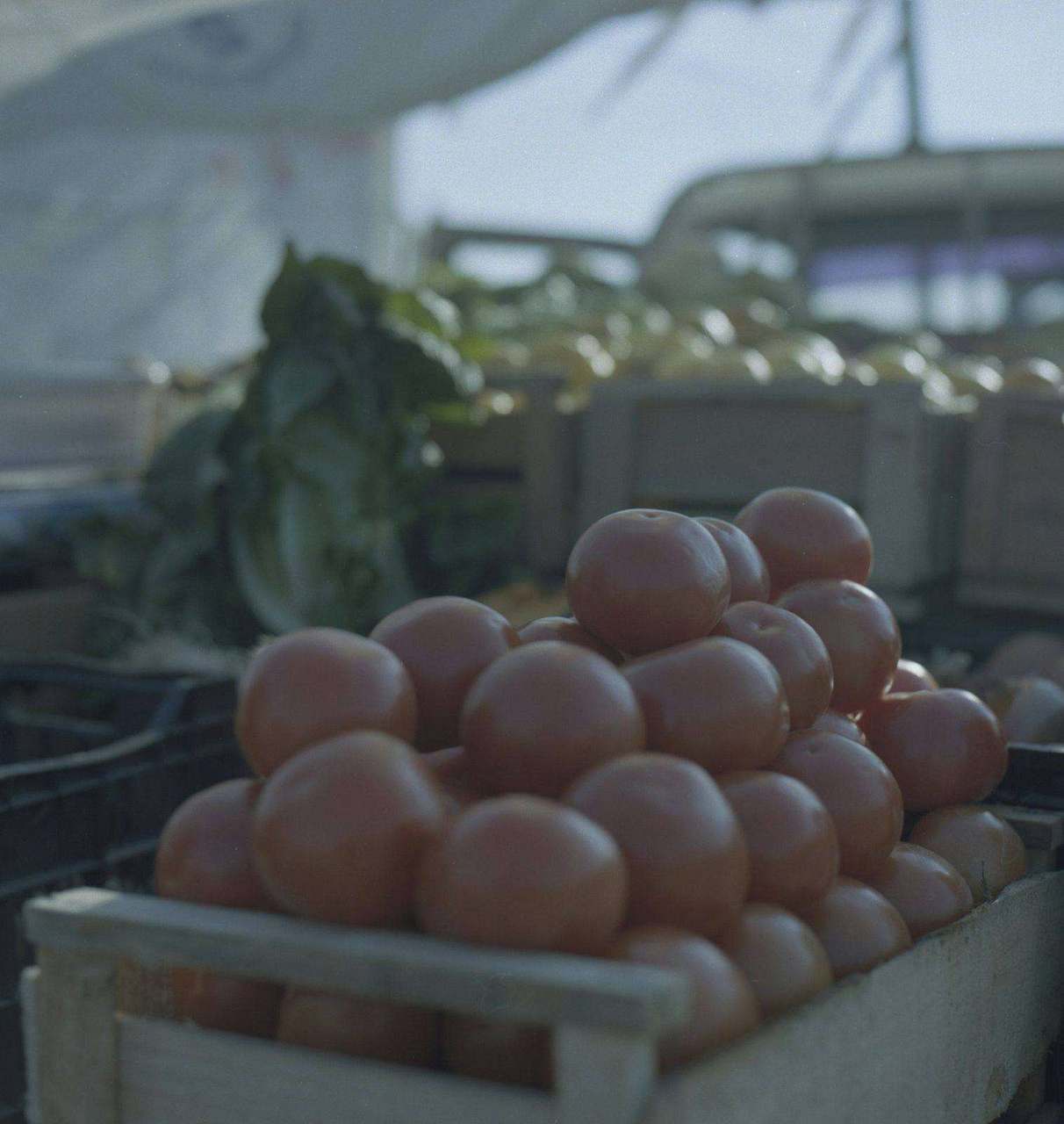 Wooden crate overflowing with red tomatoes at a market