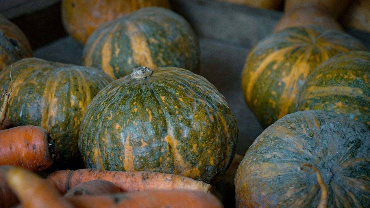 Close-up crate of squash and carrots harvested together