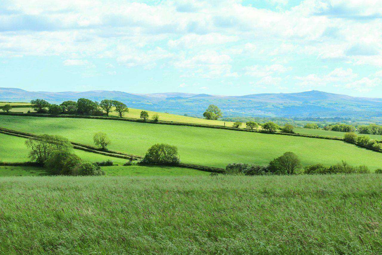 Rolling green patchwork farmland with hedgerows and hills