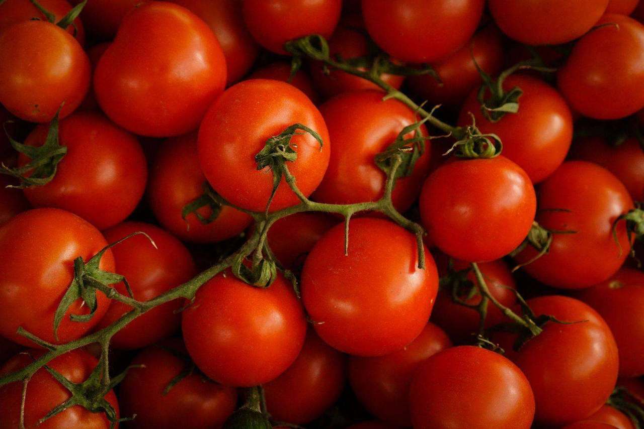 Cluster of ripe tomatoes on the vine