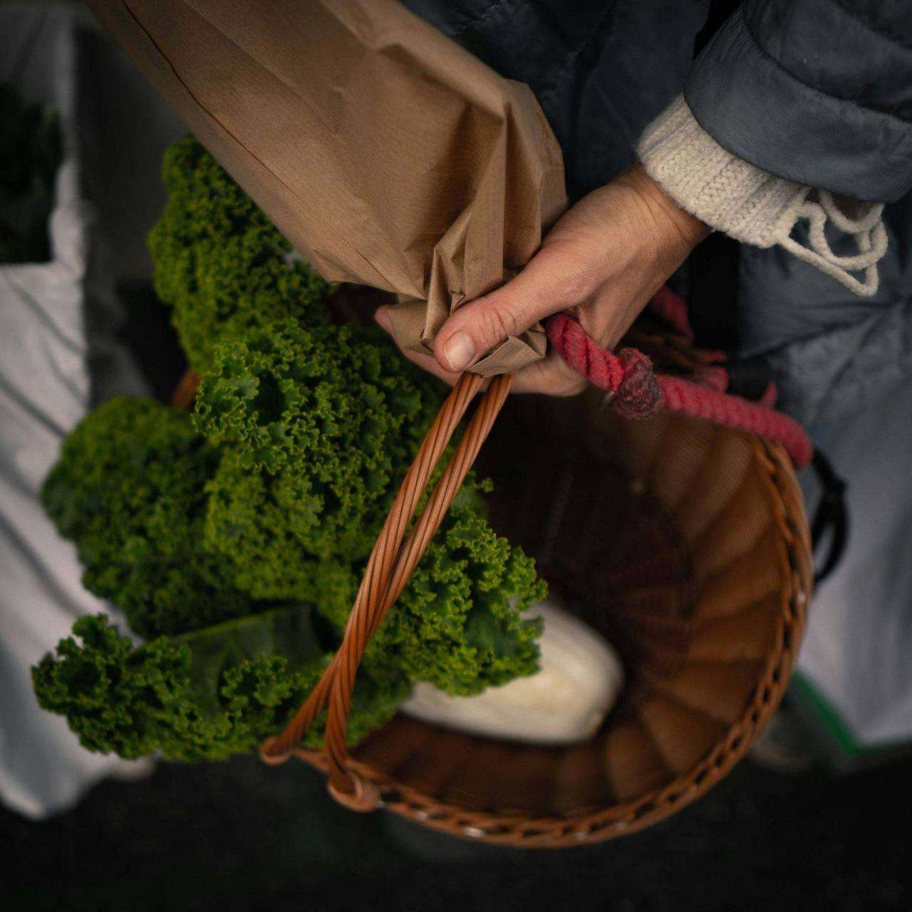 Hands holding basket of kale wrapped in paper