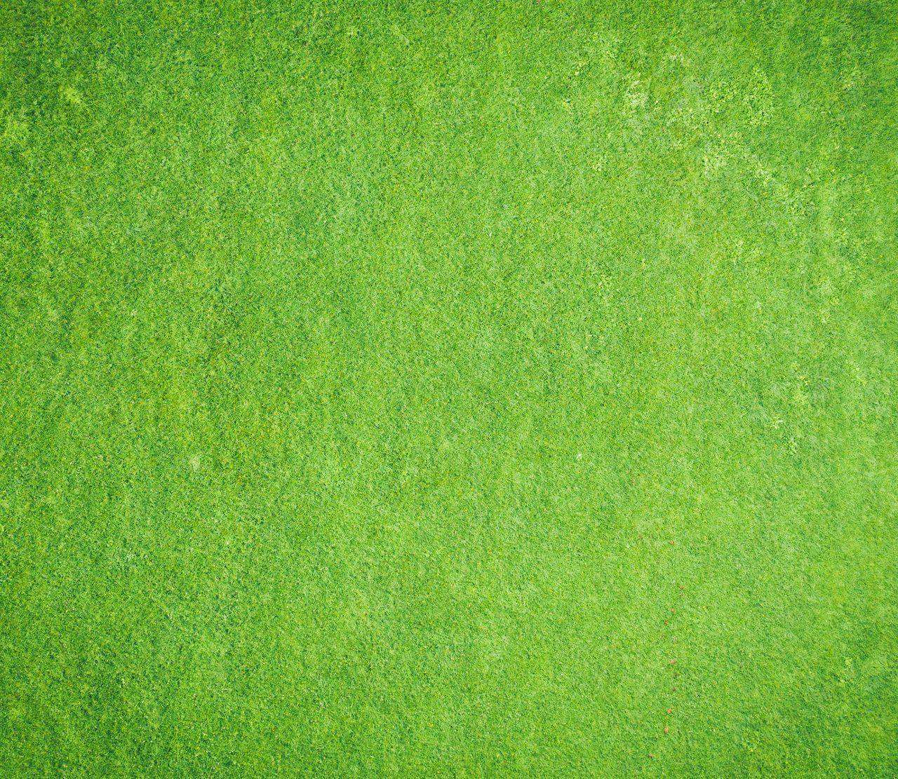 Aerial view of textured green grass field
