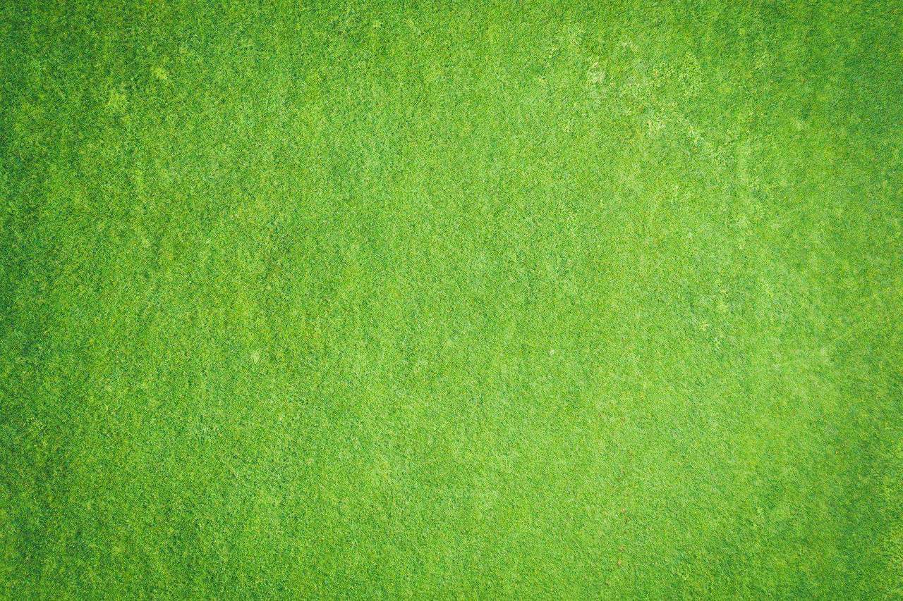 Aerial view of textured green grass field