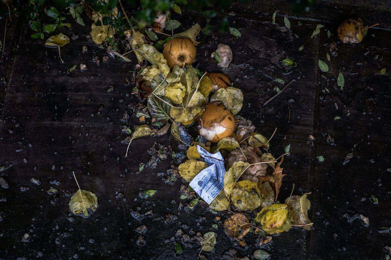 Rotting fruit and leaves scattered on dark deck