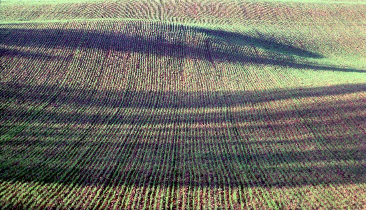 Aerial view of textured plowed field in vintage tones
