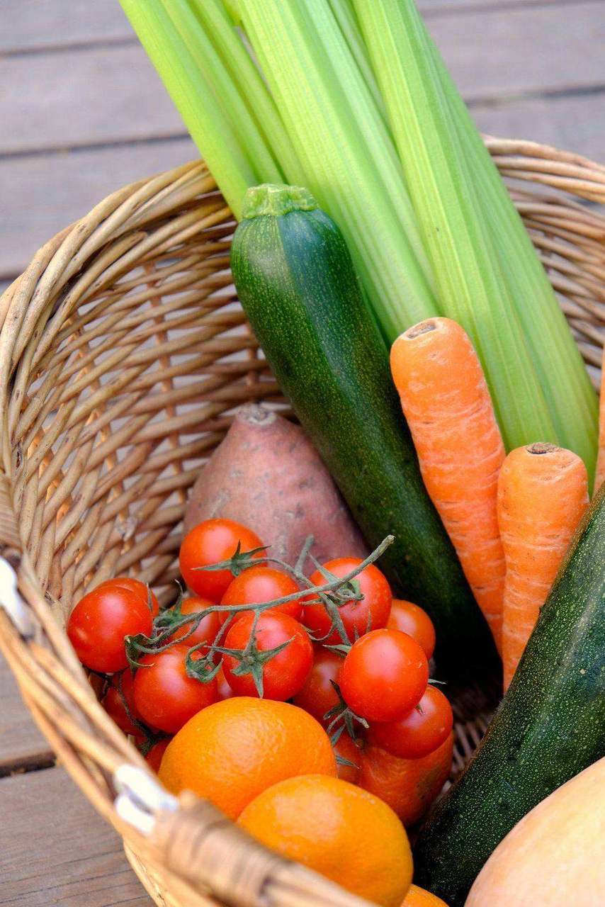 Overhead basket of celery, zucchini, carrots and tomatoes