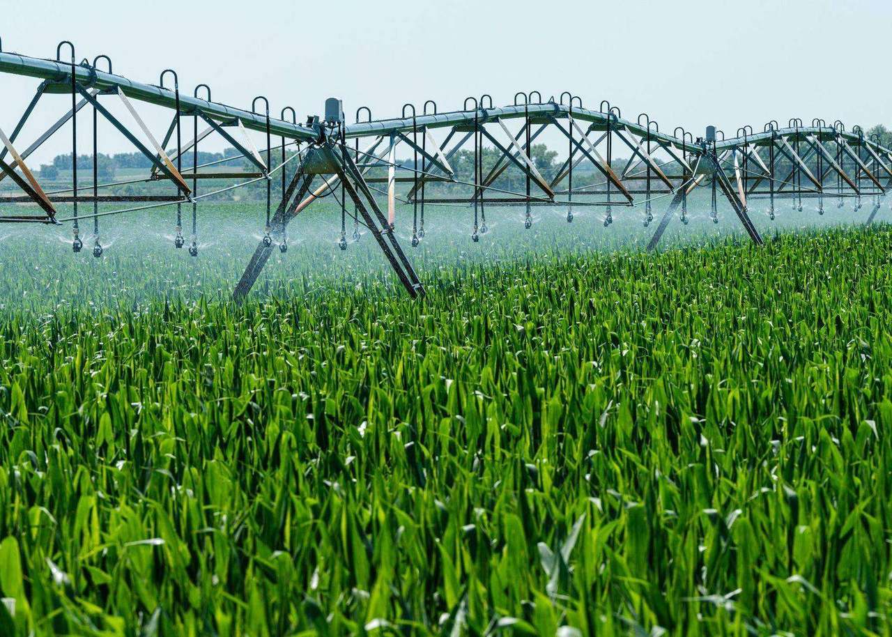 Center-pivot irrigation spraying over green crop field