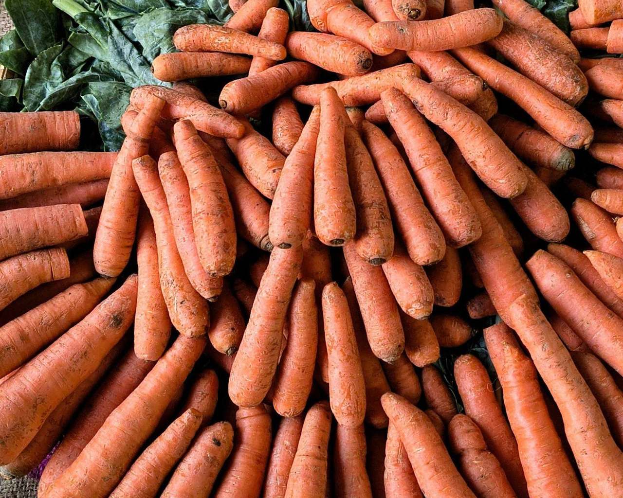 Large pile of carrots with dark greens behind