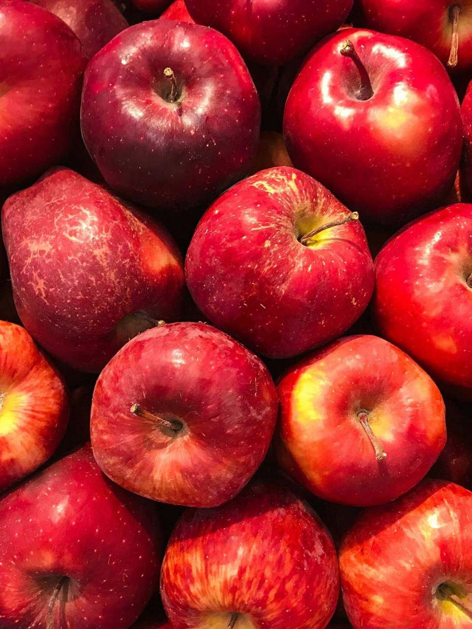 Close-up pile of red apples