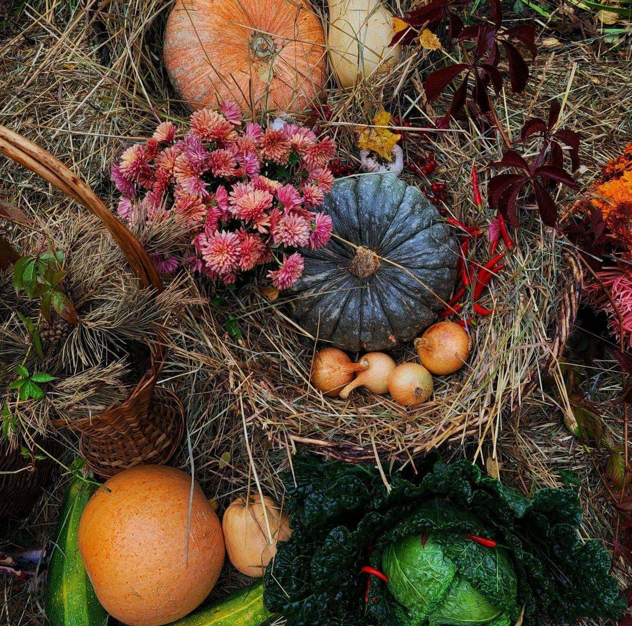 Autumn harvest still life with pumpkins and flowers