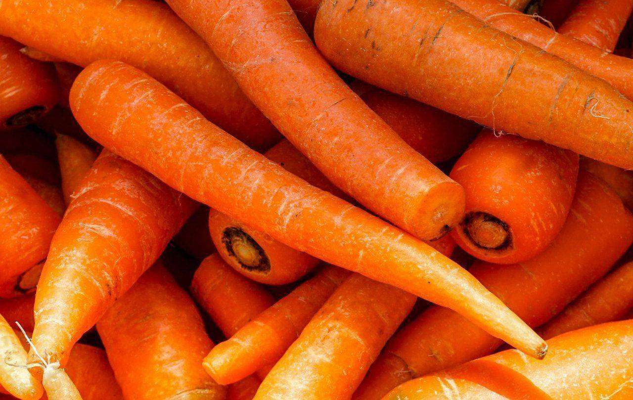Close-up pile of fresh orange carrots