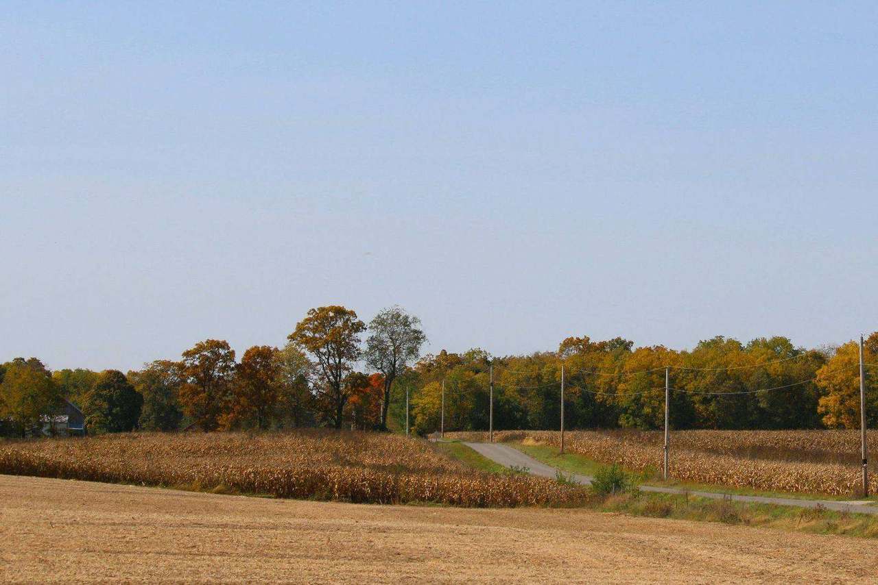 Autumn farmland with golden trees and country road