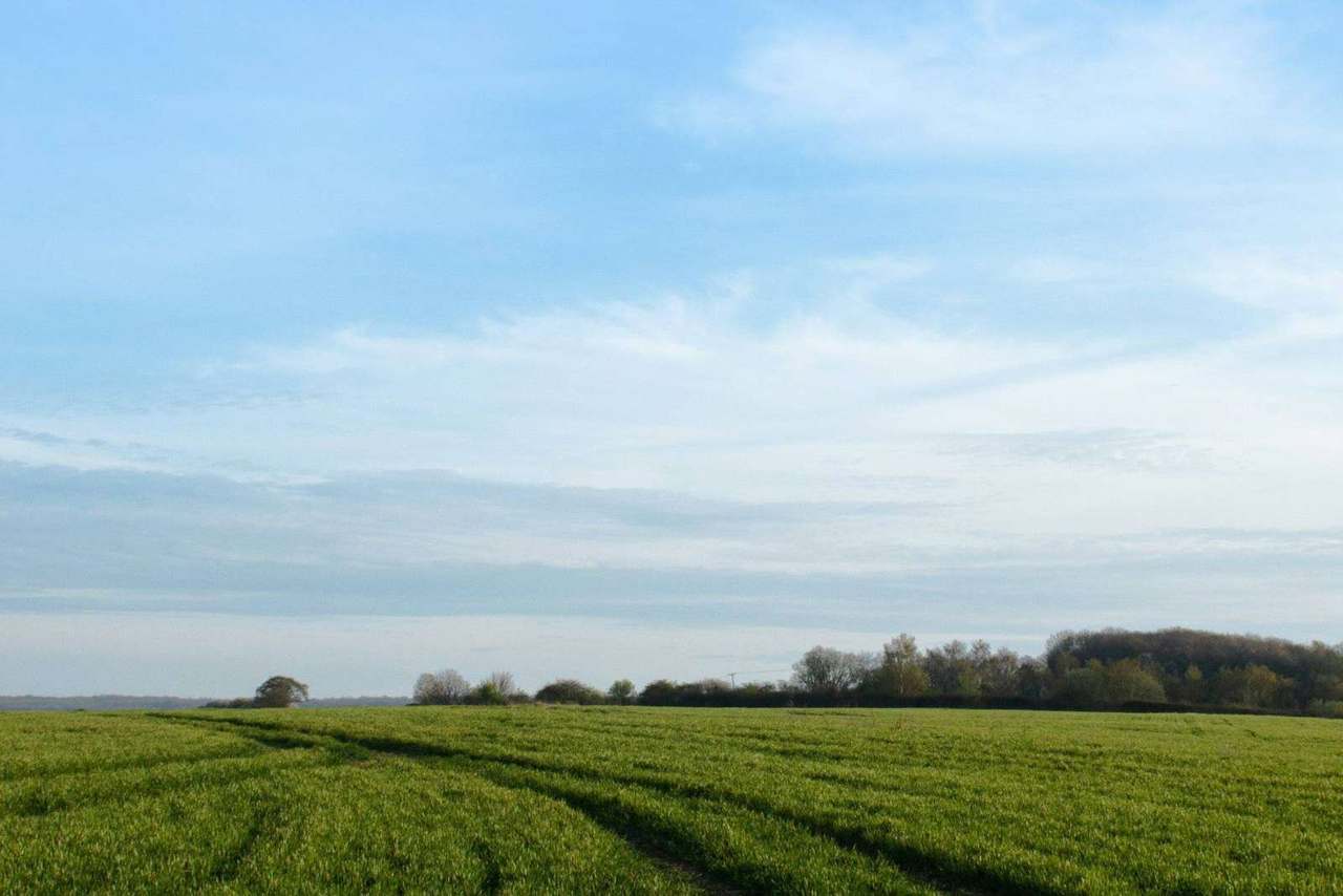 Wide grassy field with tractor tracks under blue sky