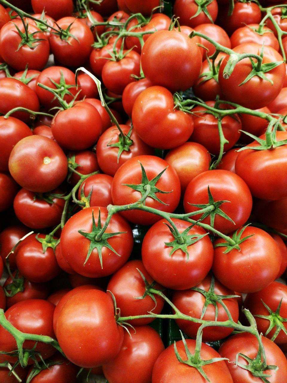 Cluster of ripe red tomatoes still on the vine