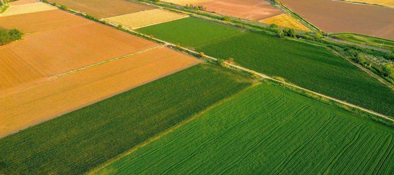 Aerial patchwork of green and gold farm fields