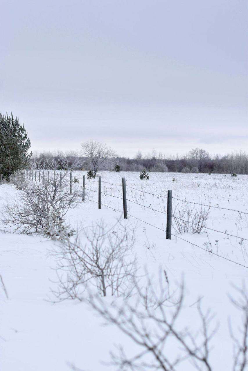 Snow-covered field with barbed wire fence line