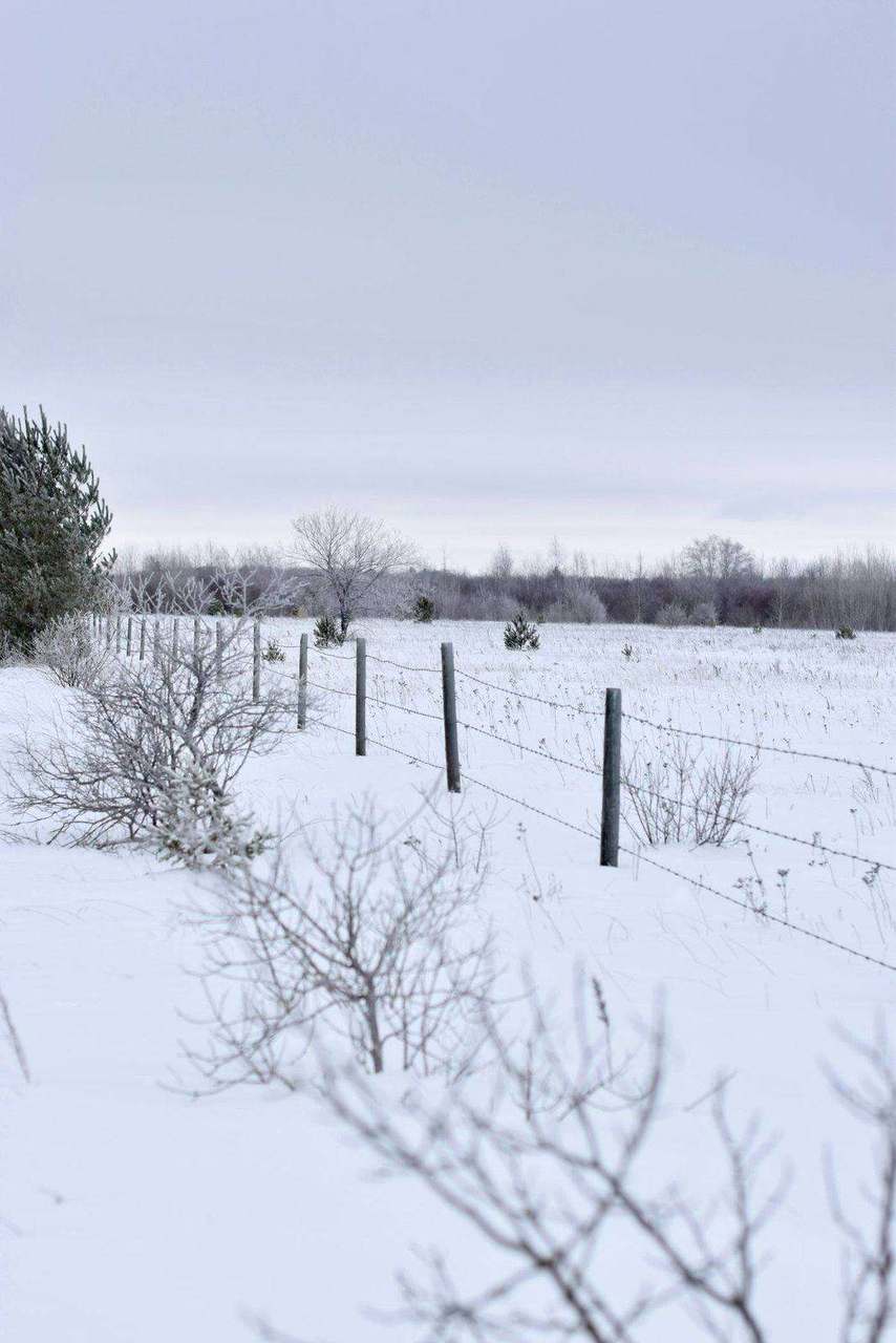 Snow-covered field with barbed wire fence line
