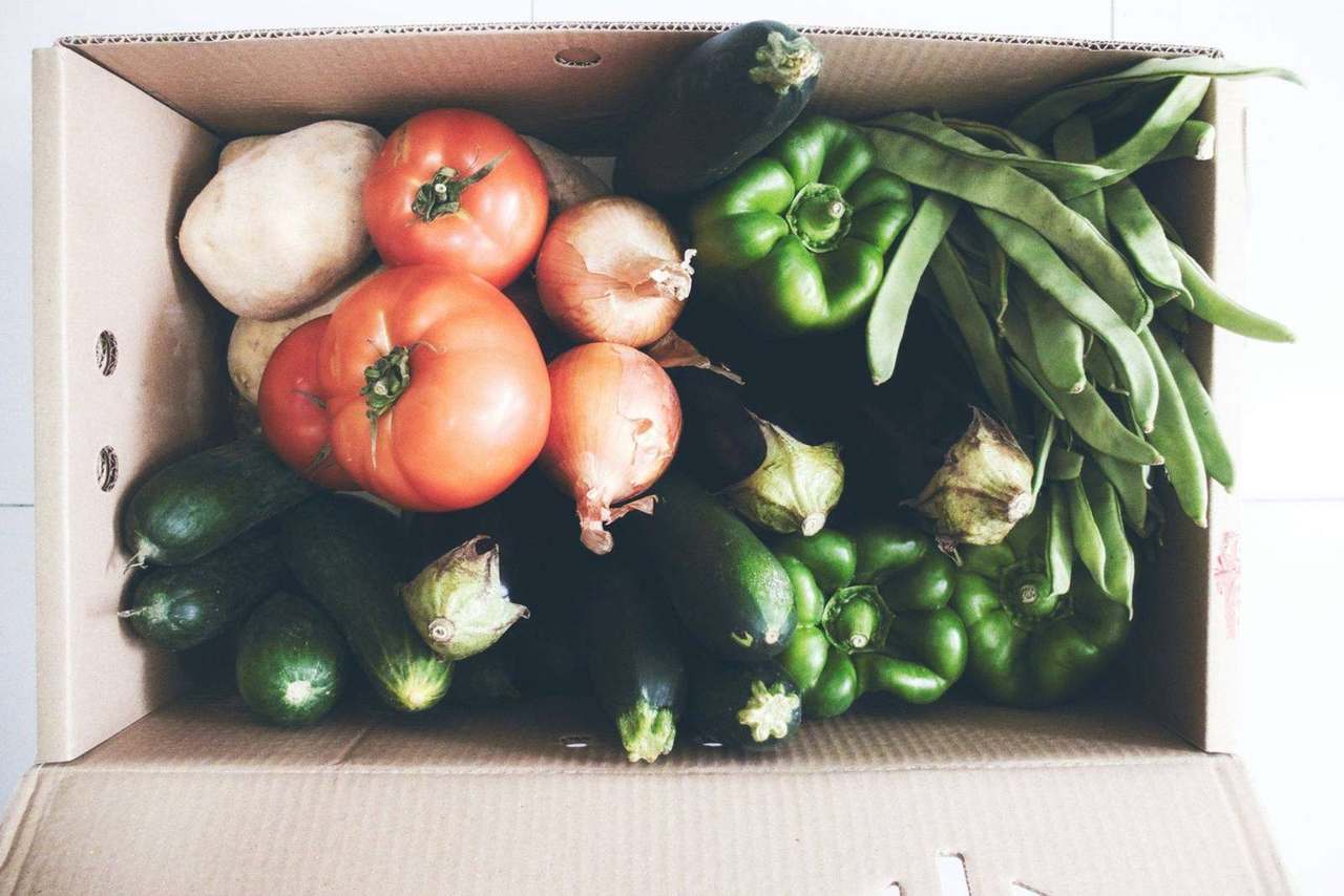 Cardboard box packed with fresh mixed vegetables overhead