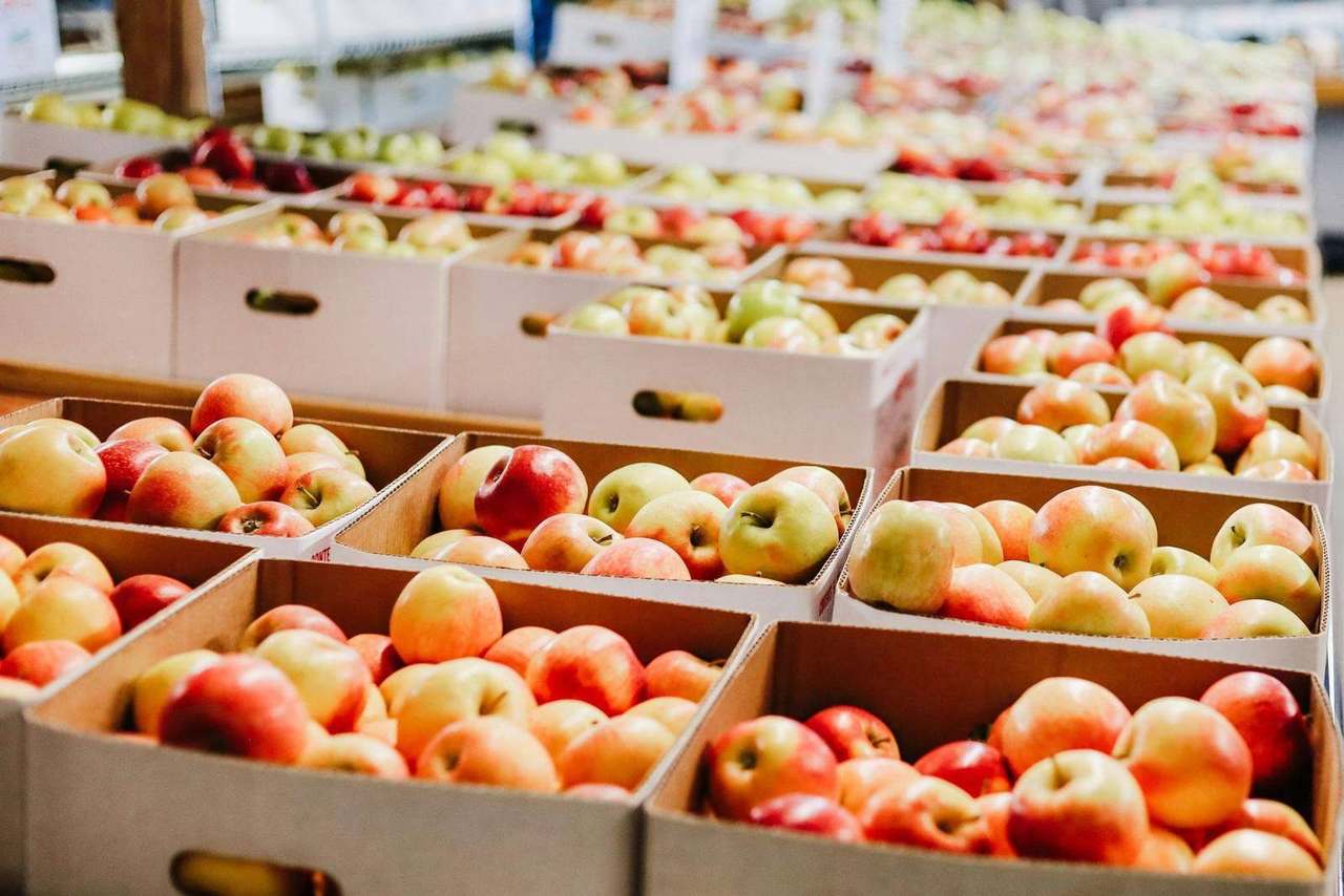Rows of apple crates fill sunlit barn