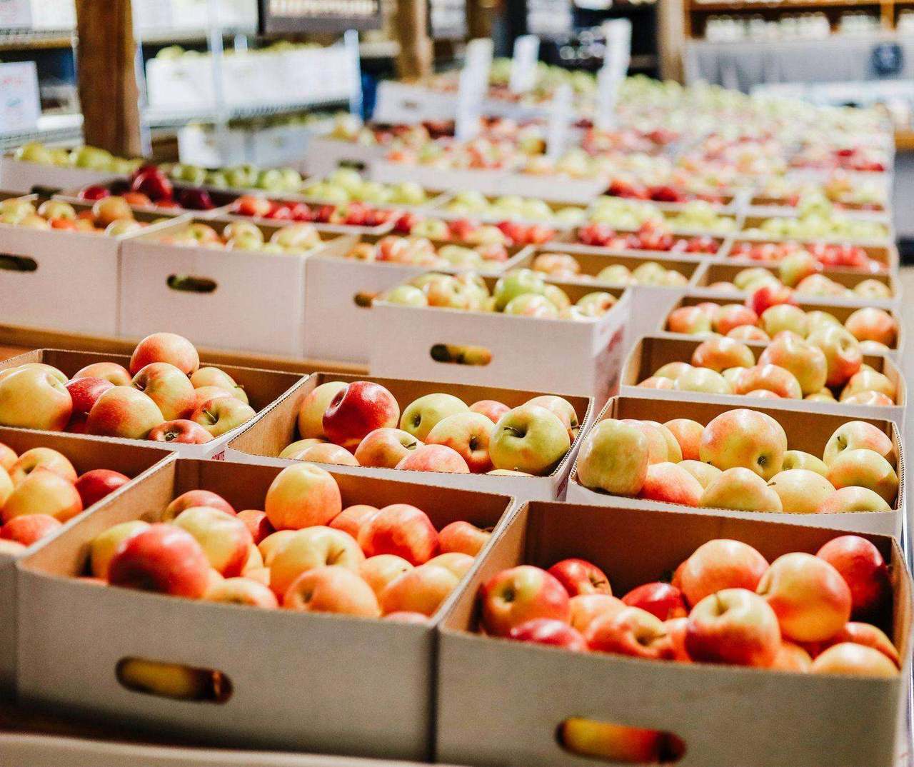 Rows of apple crates fill sunlit barn